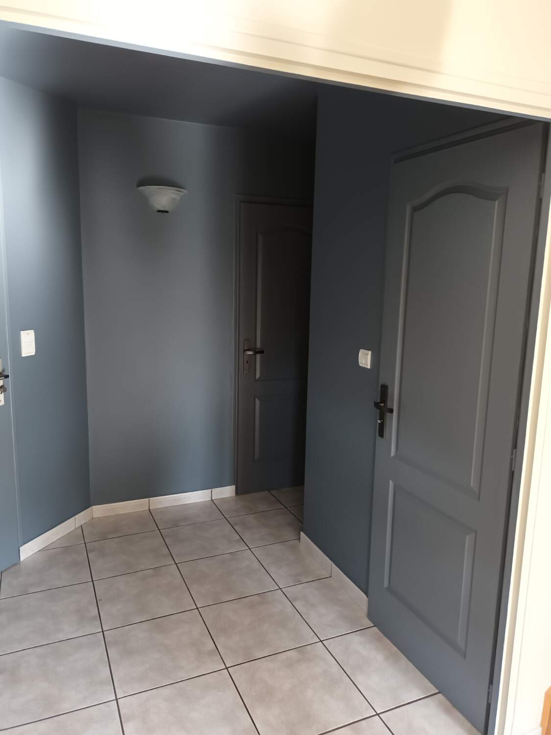 Peinture plafond foncé tendance Annecy